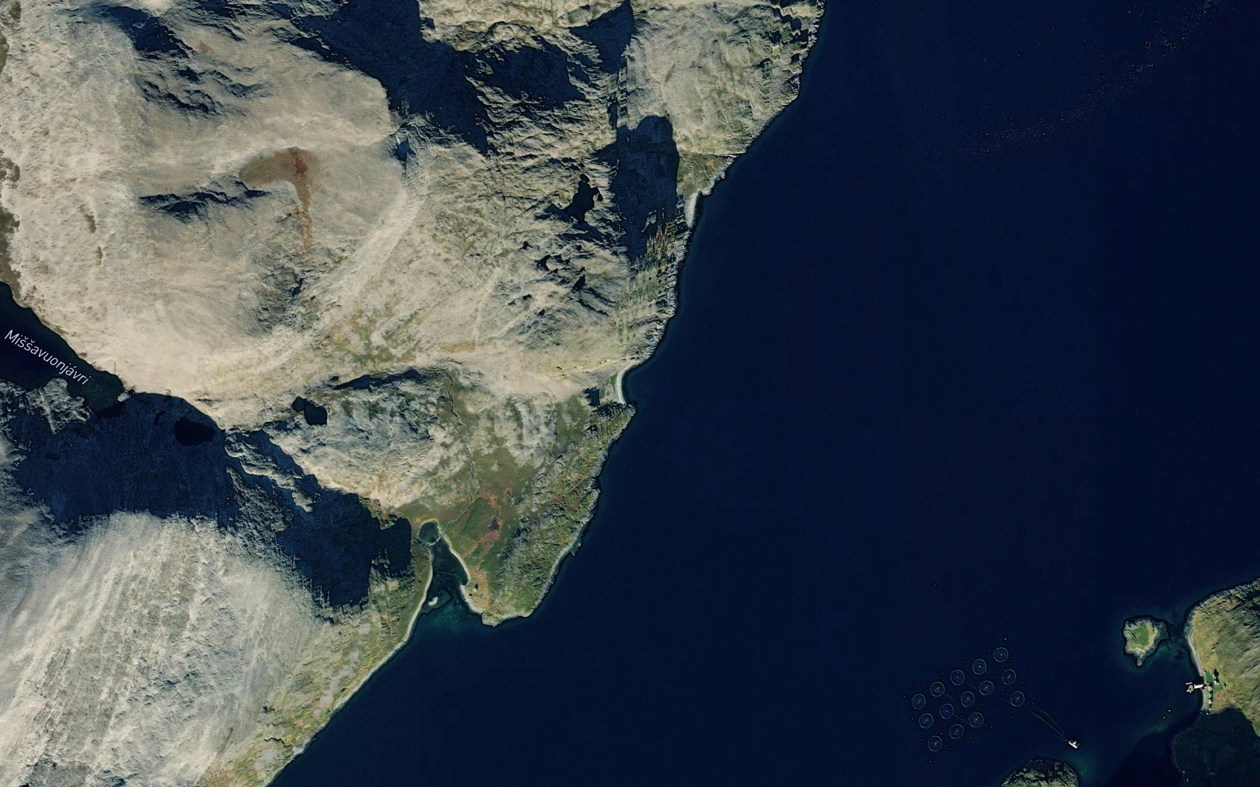 Skjellvika