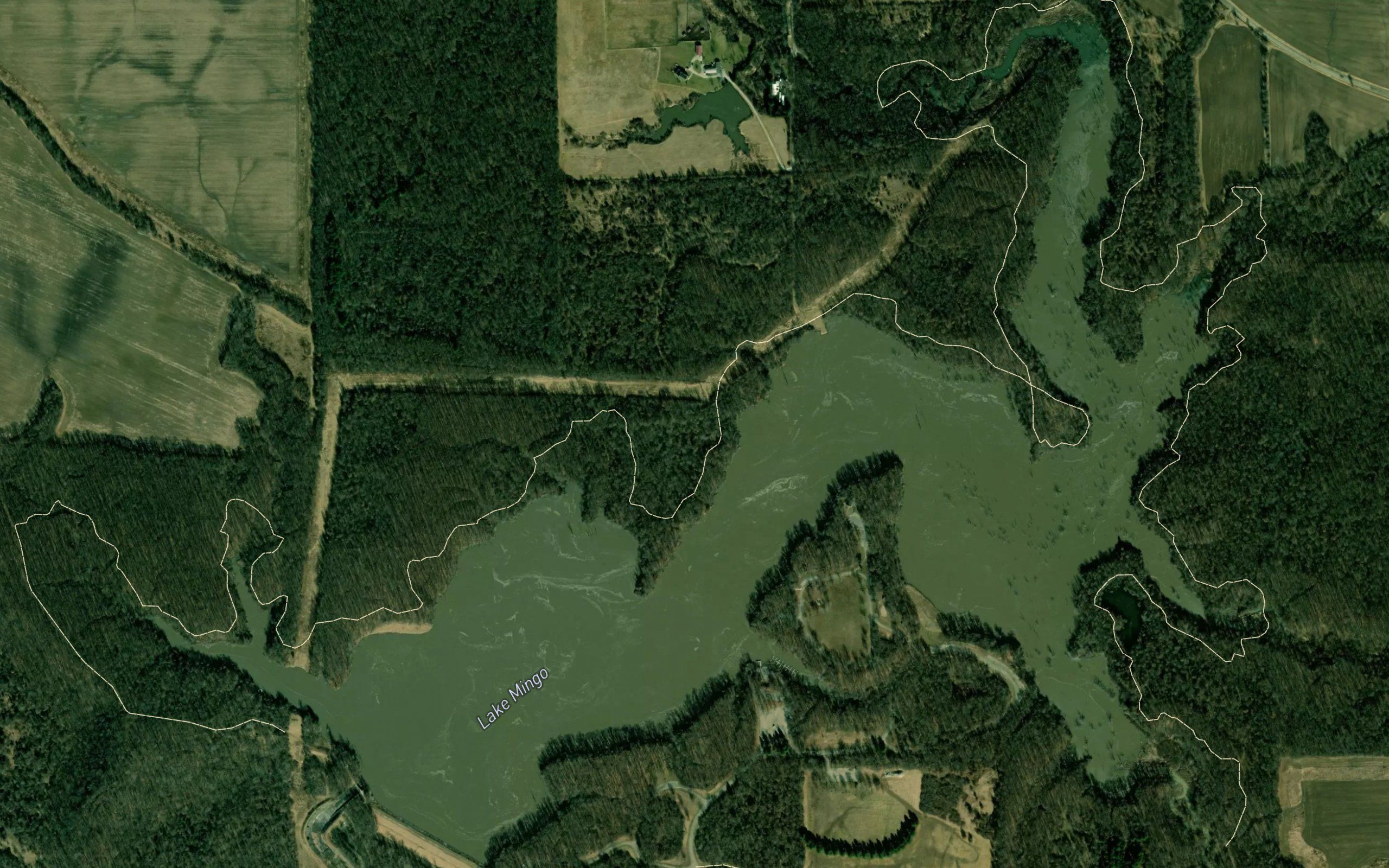 Lake Mingo