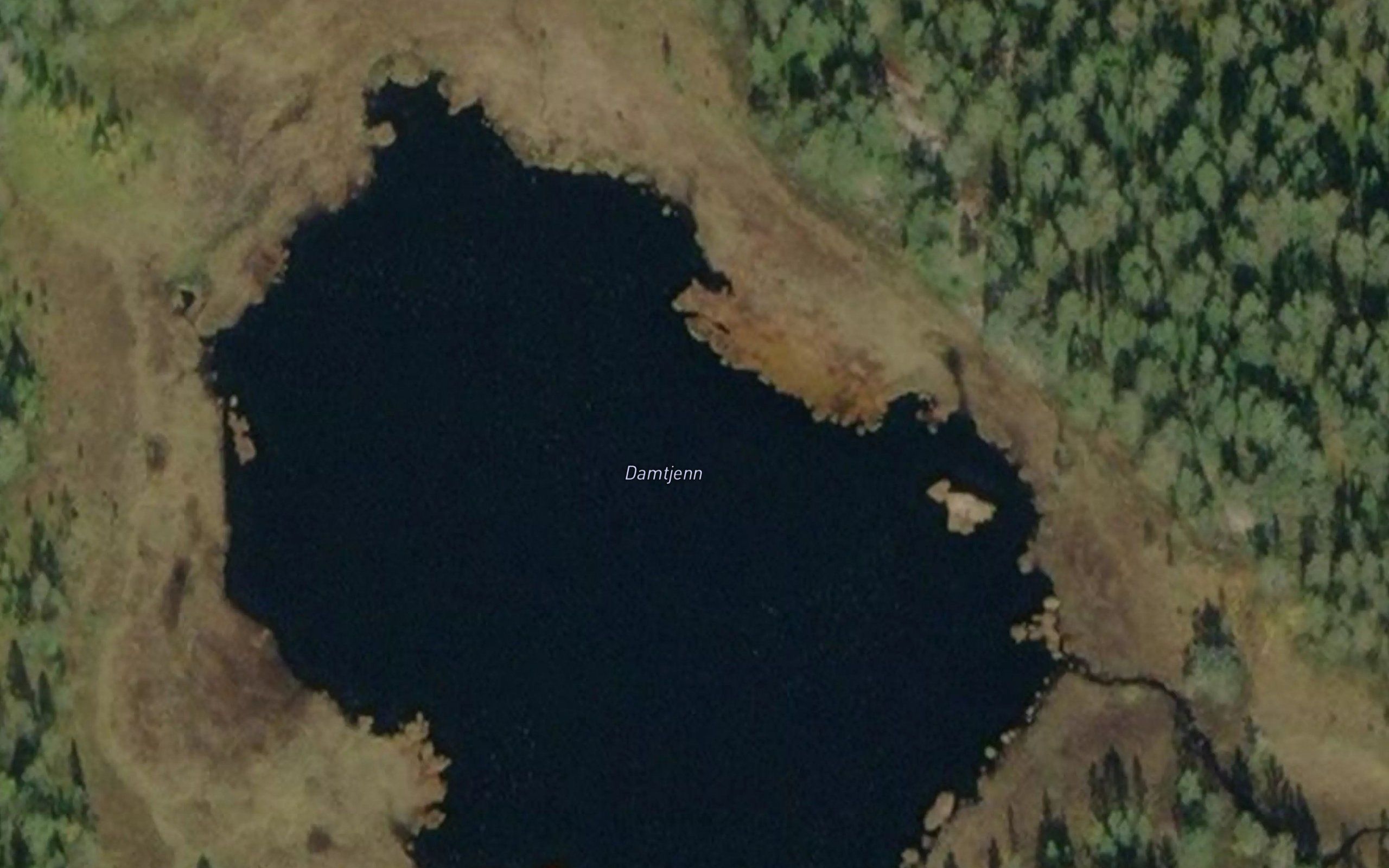 Damtjern