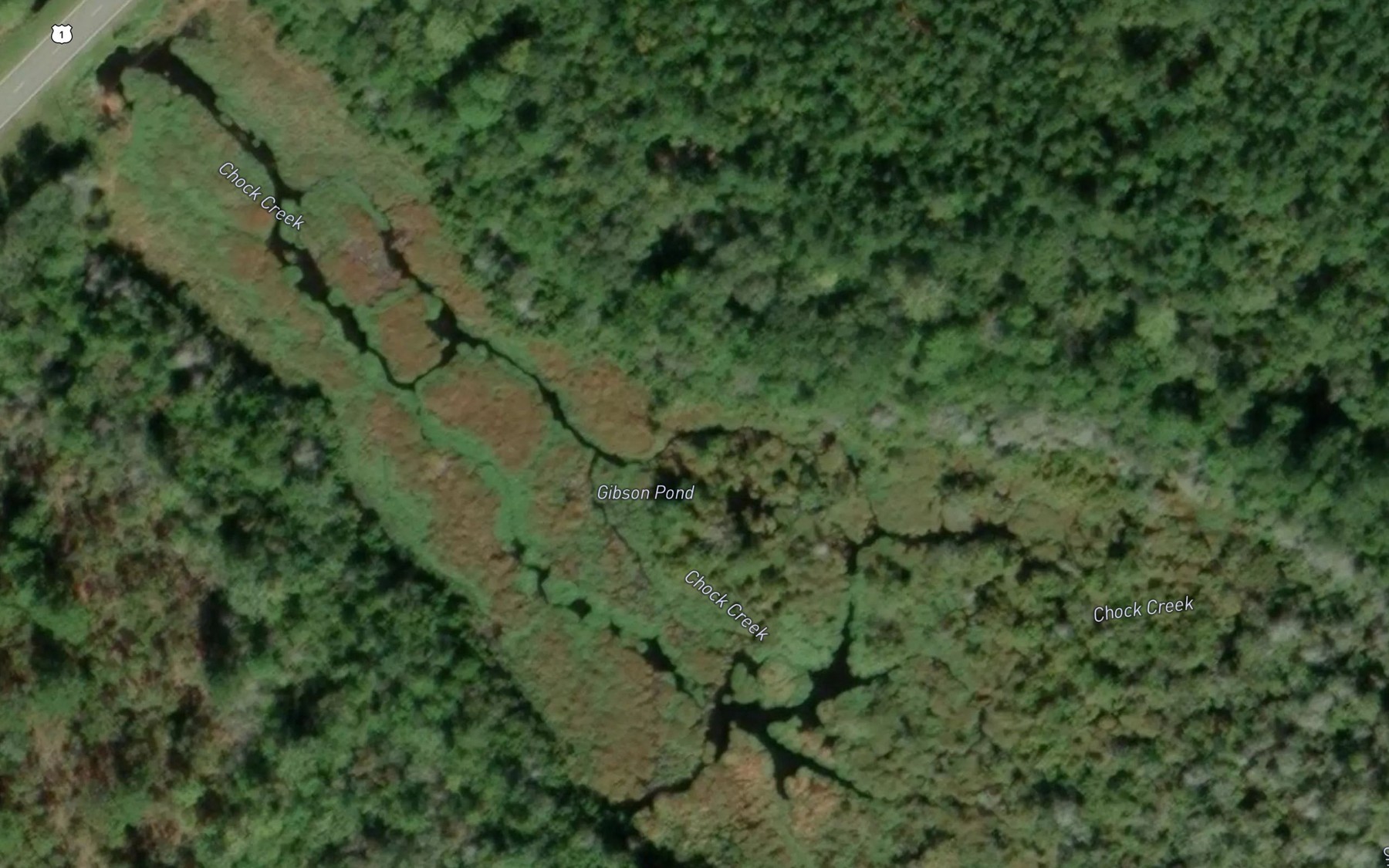 Satellite map of the Gibson Pond