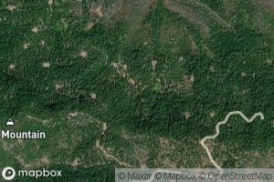 Bear Pen Springs