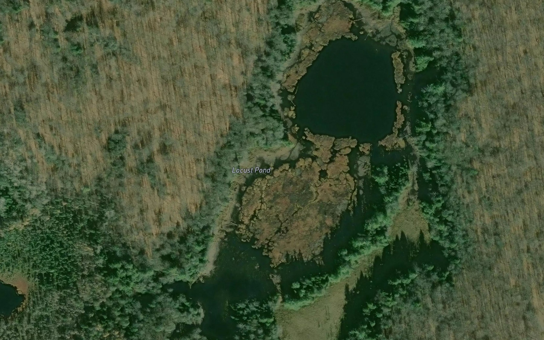Locust Pond Fishing, Ontonagon County | Fishbox