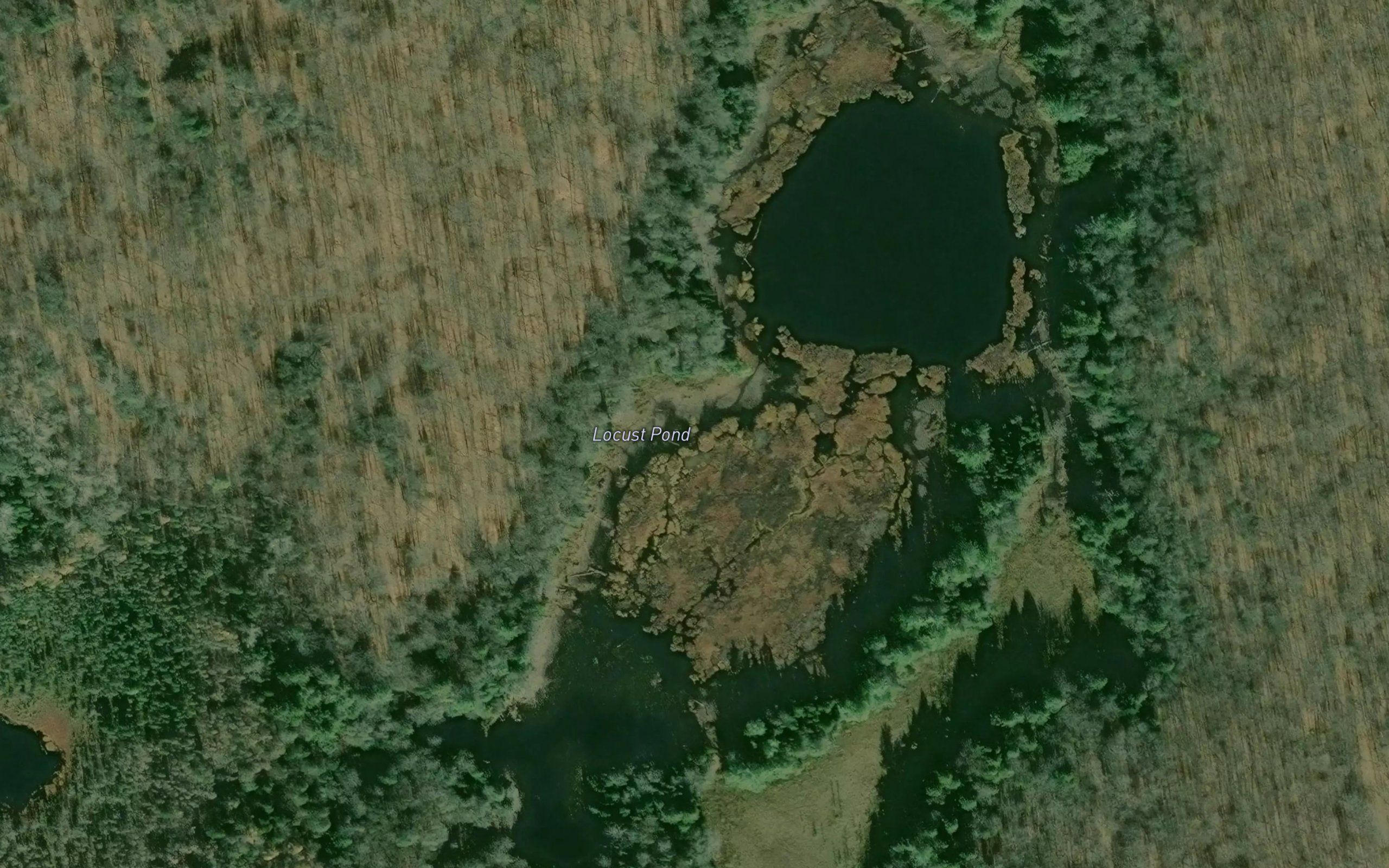 Locust Pond