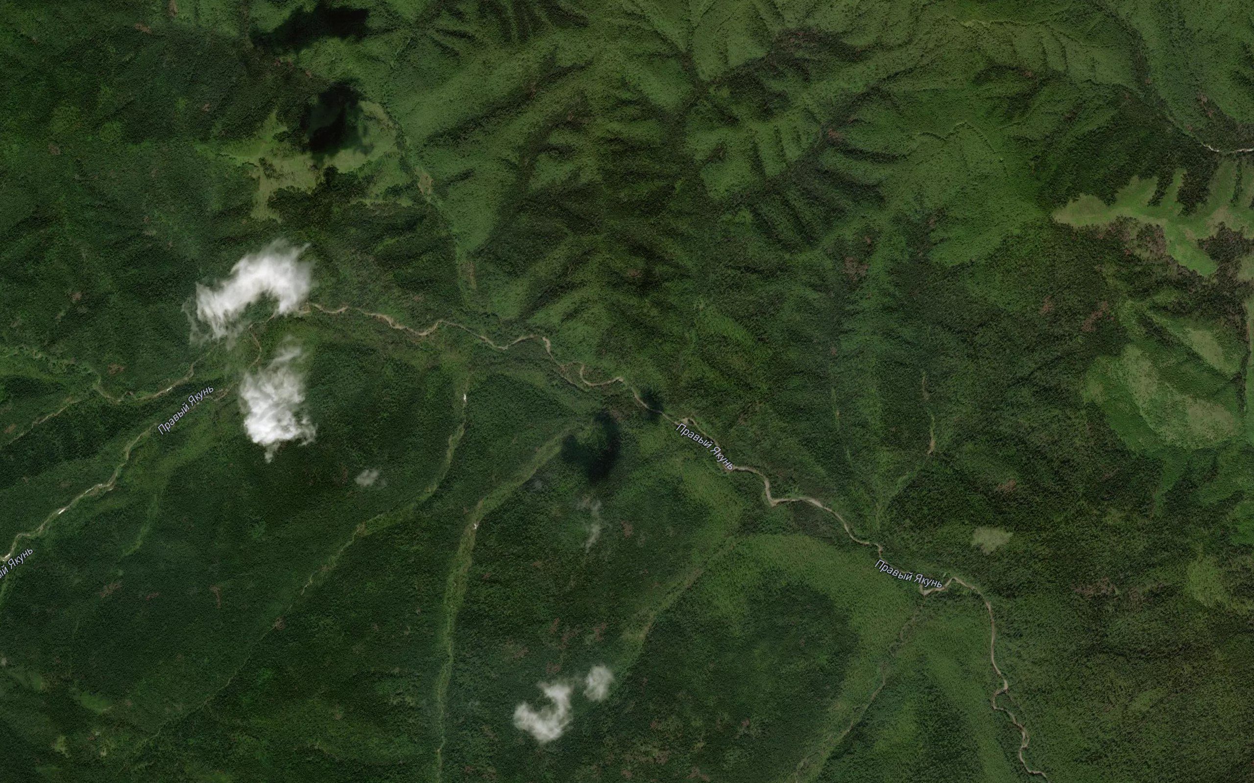 Krivoy