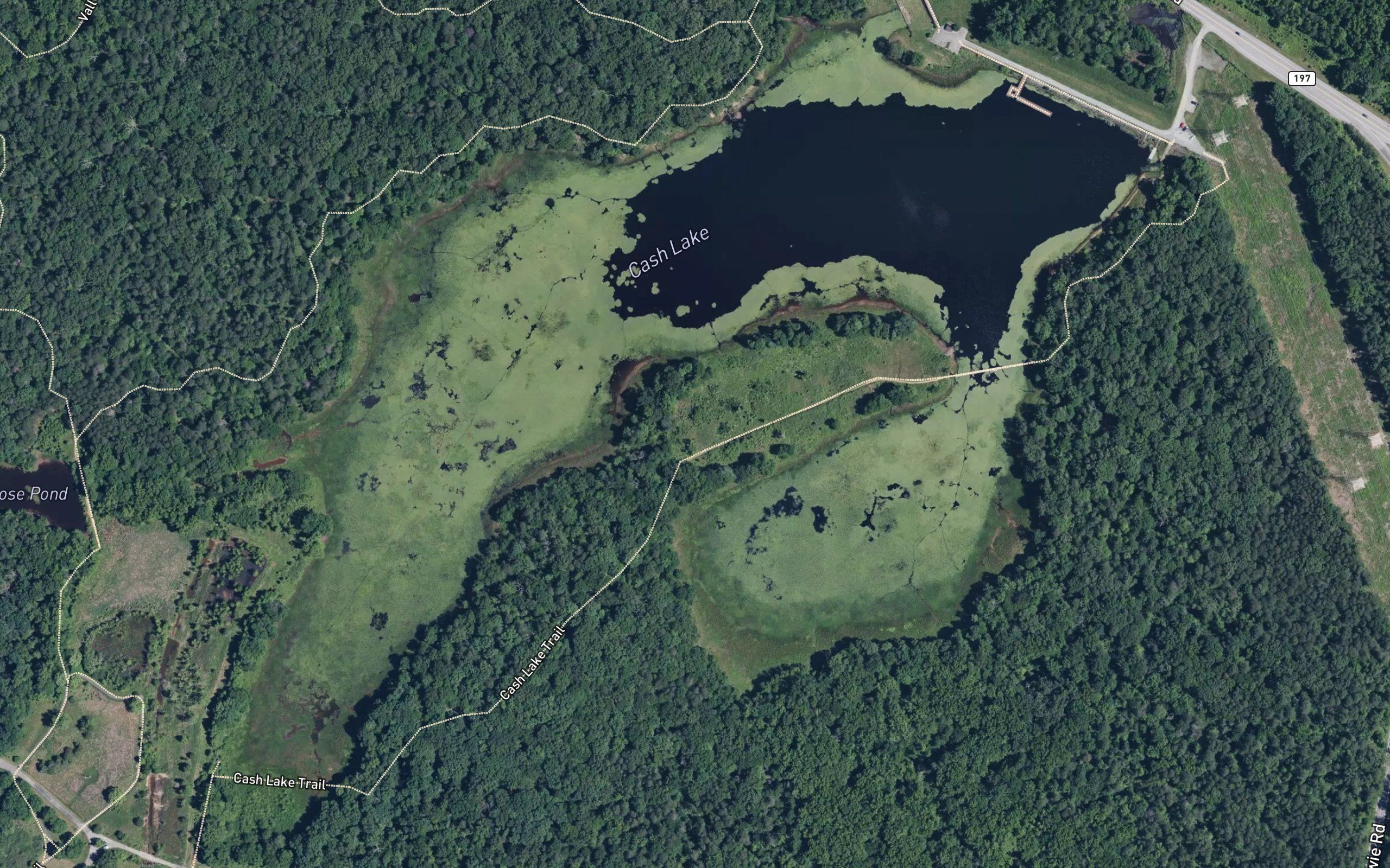 Cash Lake