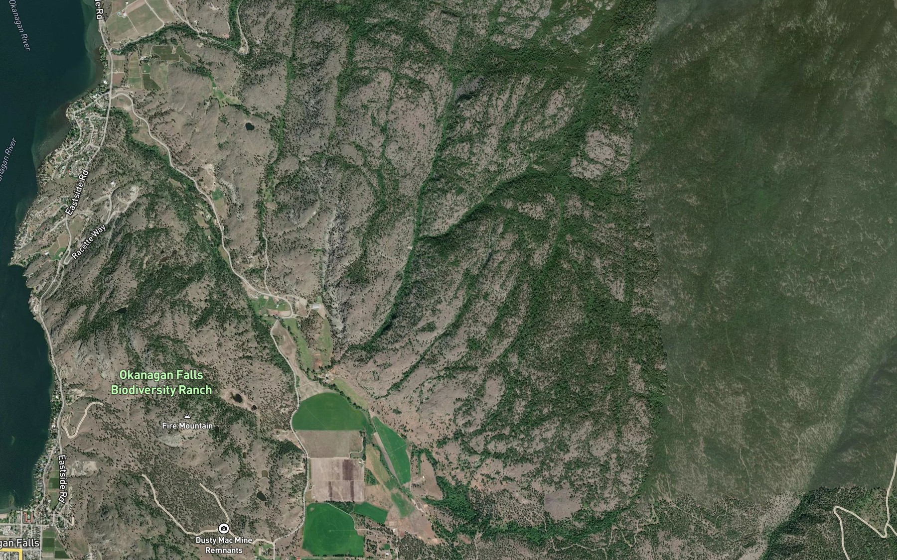 Satellite map of the Derenzy Creek