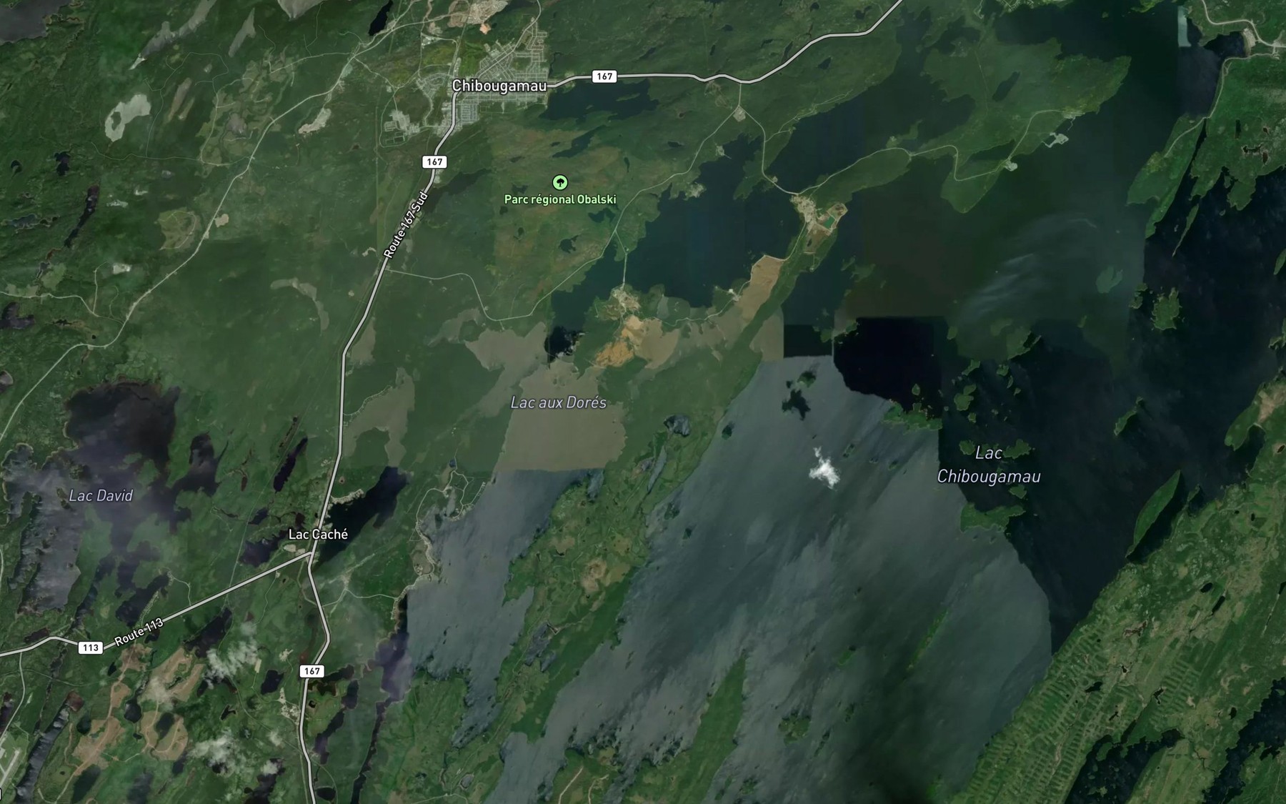 Satellite map of the Lac aux Dores