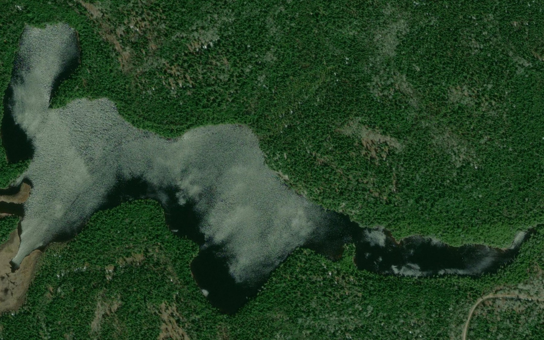 Satellite map of the McWilliams Lake