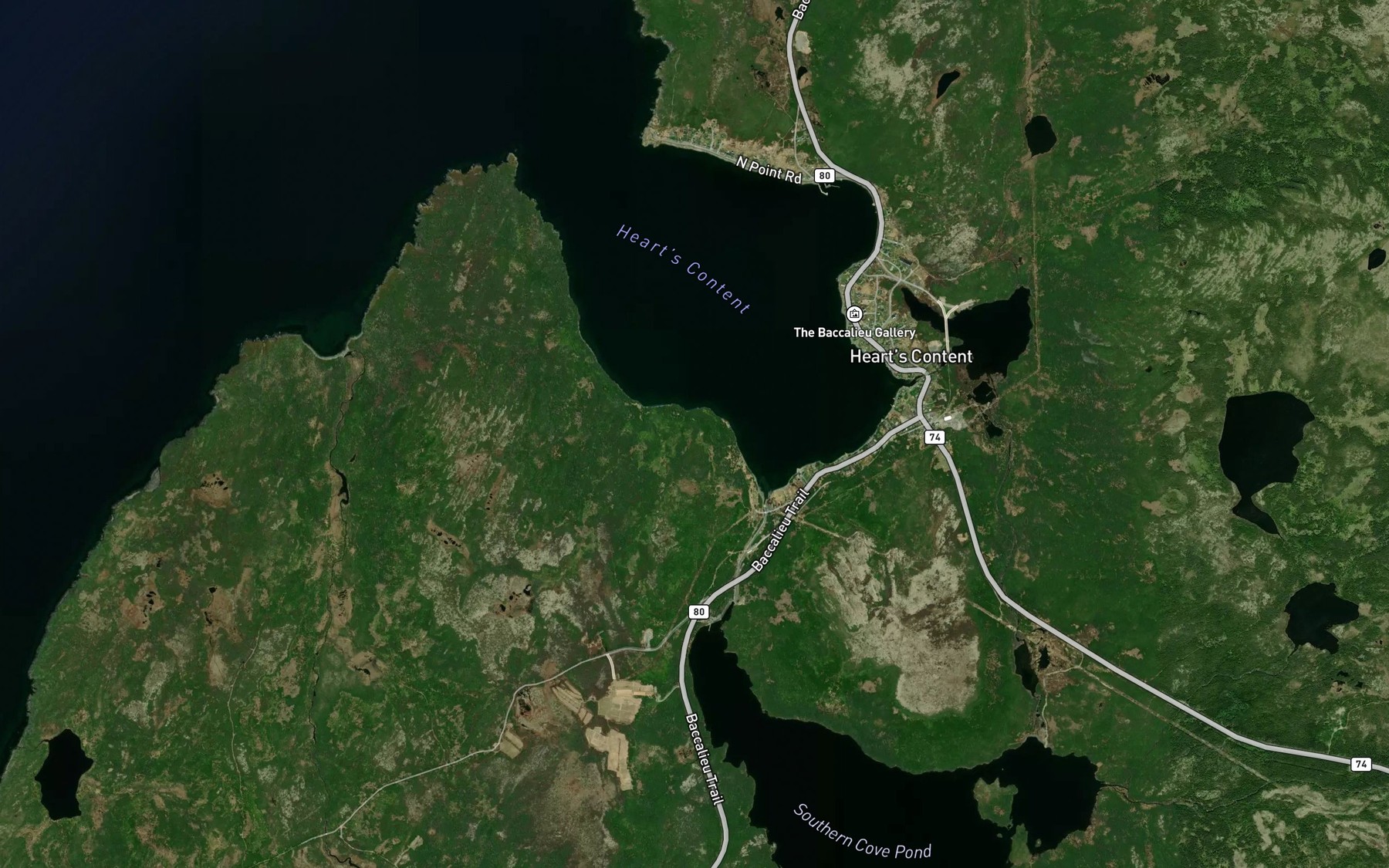 Satellite map of the Heart's Content