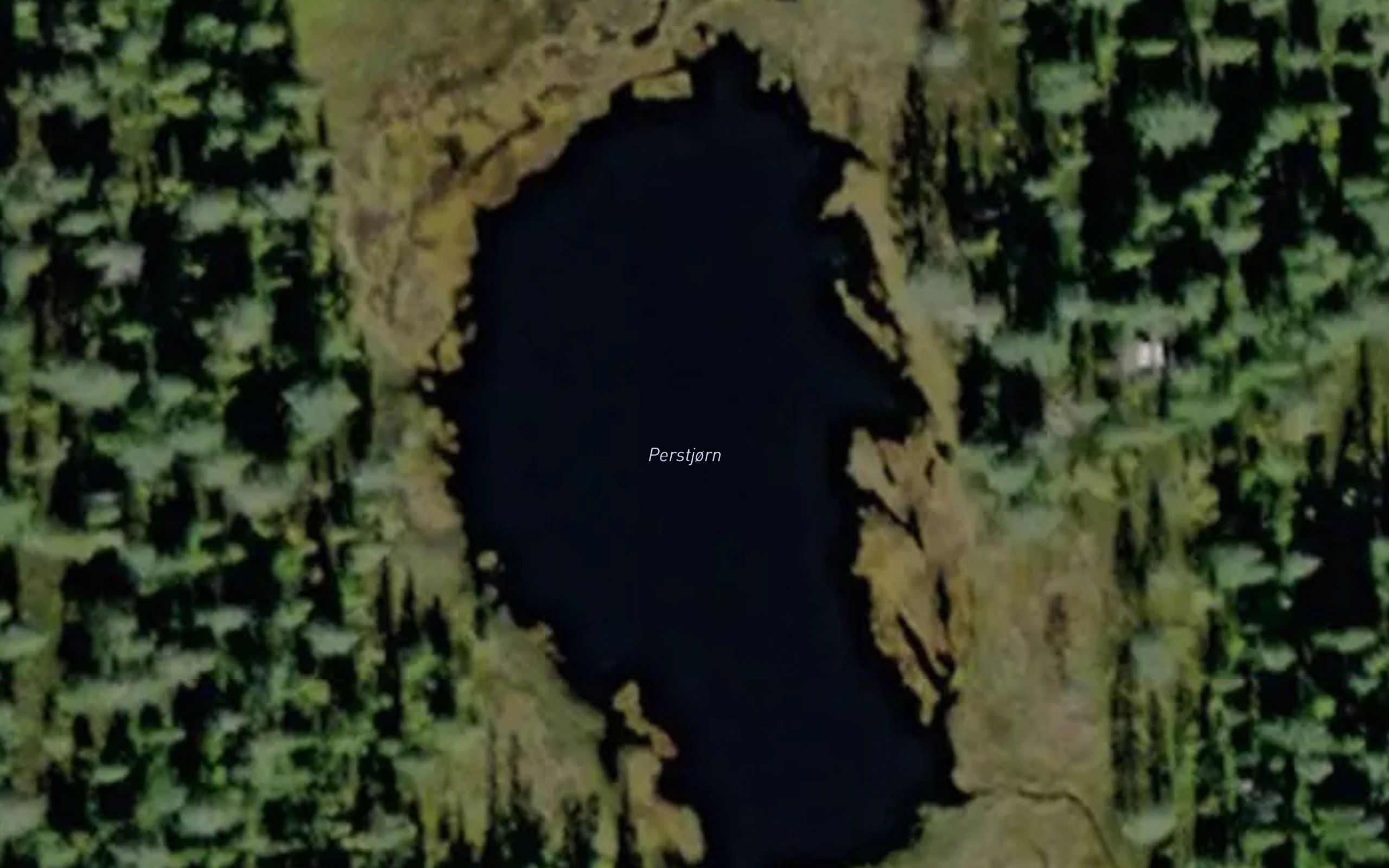 Perstjorn