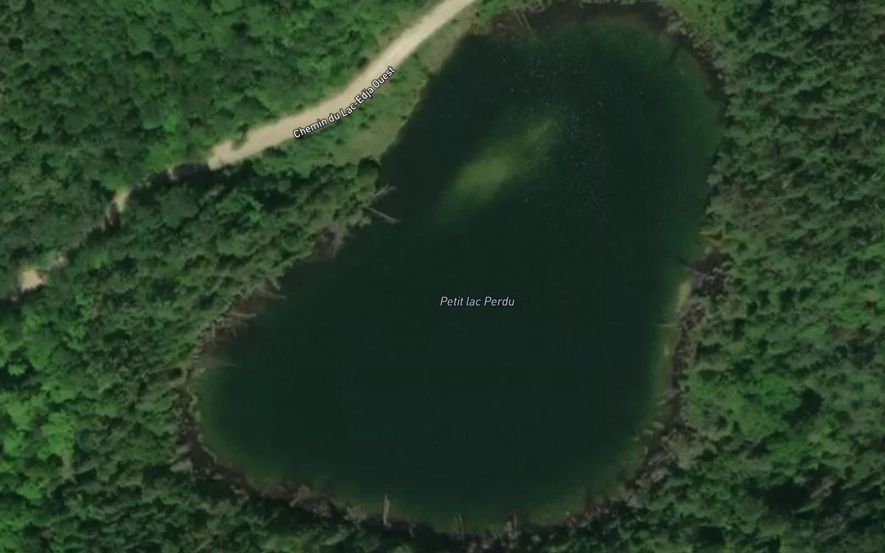 Satellite map of the Petit lac Perdu