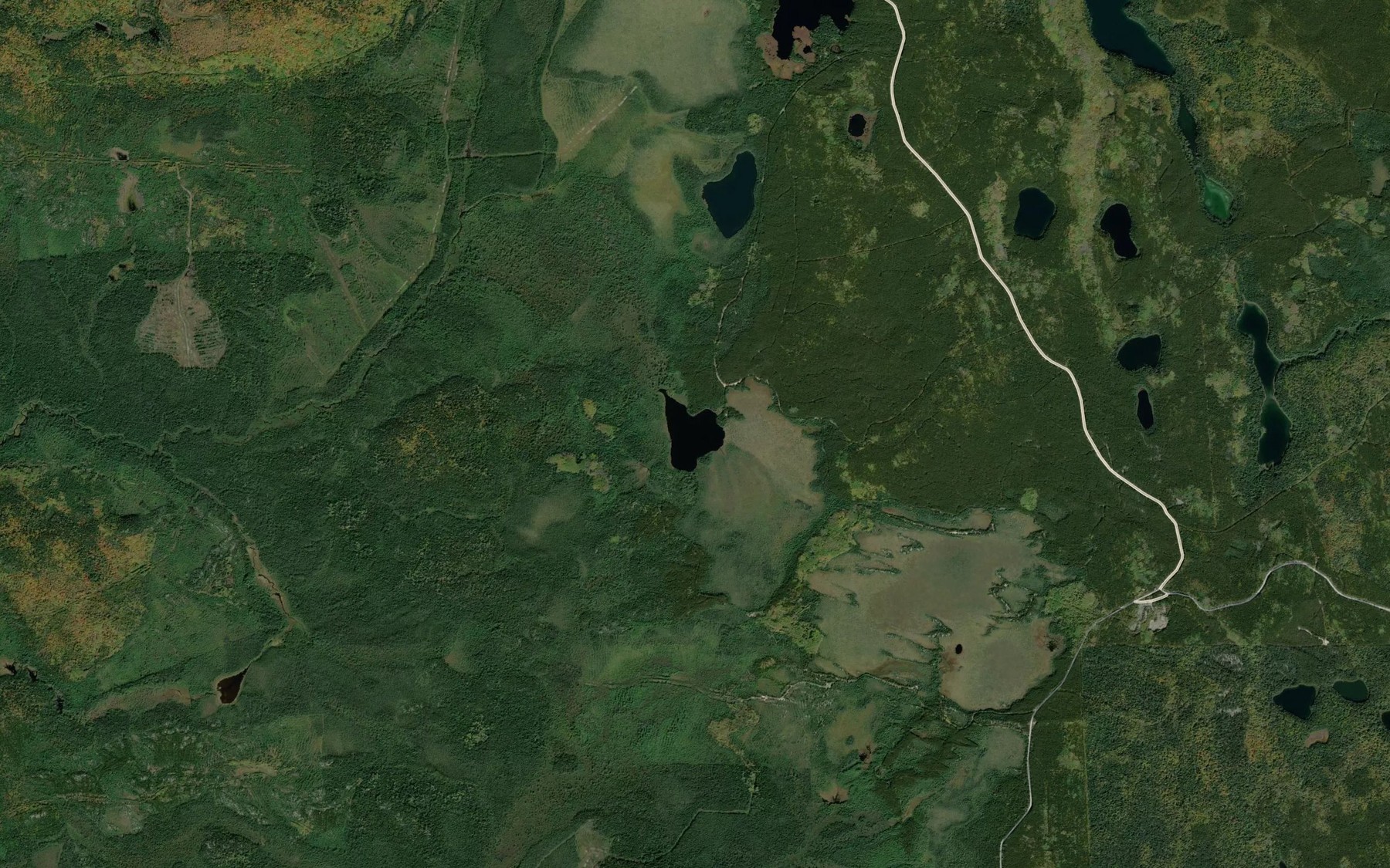 Satellite map of the Cochenour Lake
