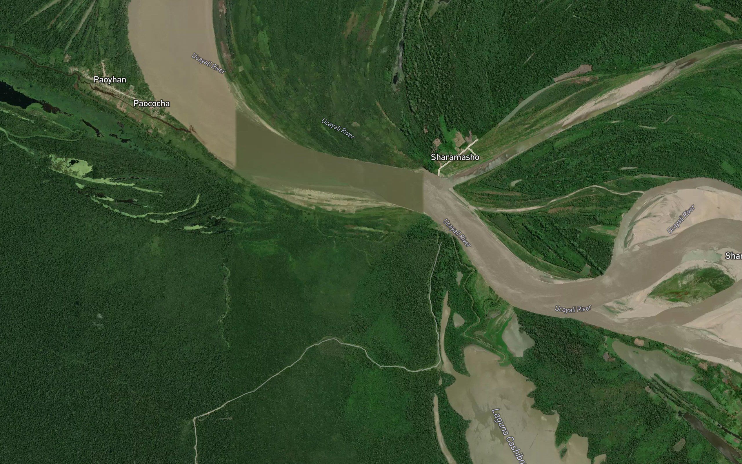 Laguna Muerta