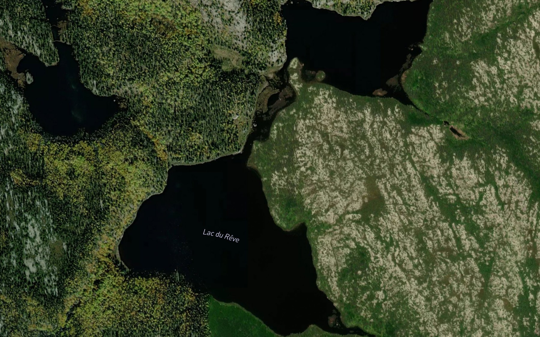 Satellite map of the Lac du Reve
