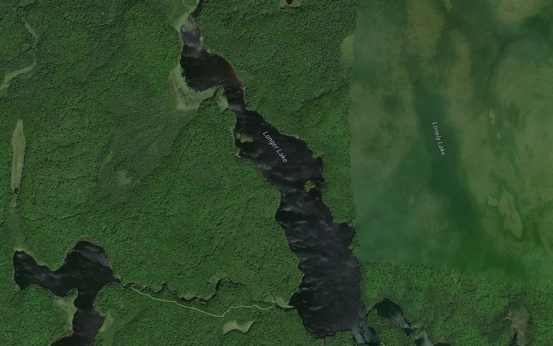 Satellite map of the Longer Lake