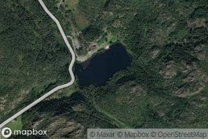 Rutletjorna