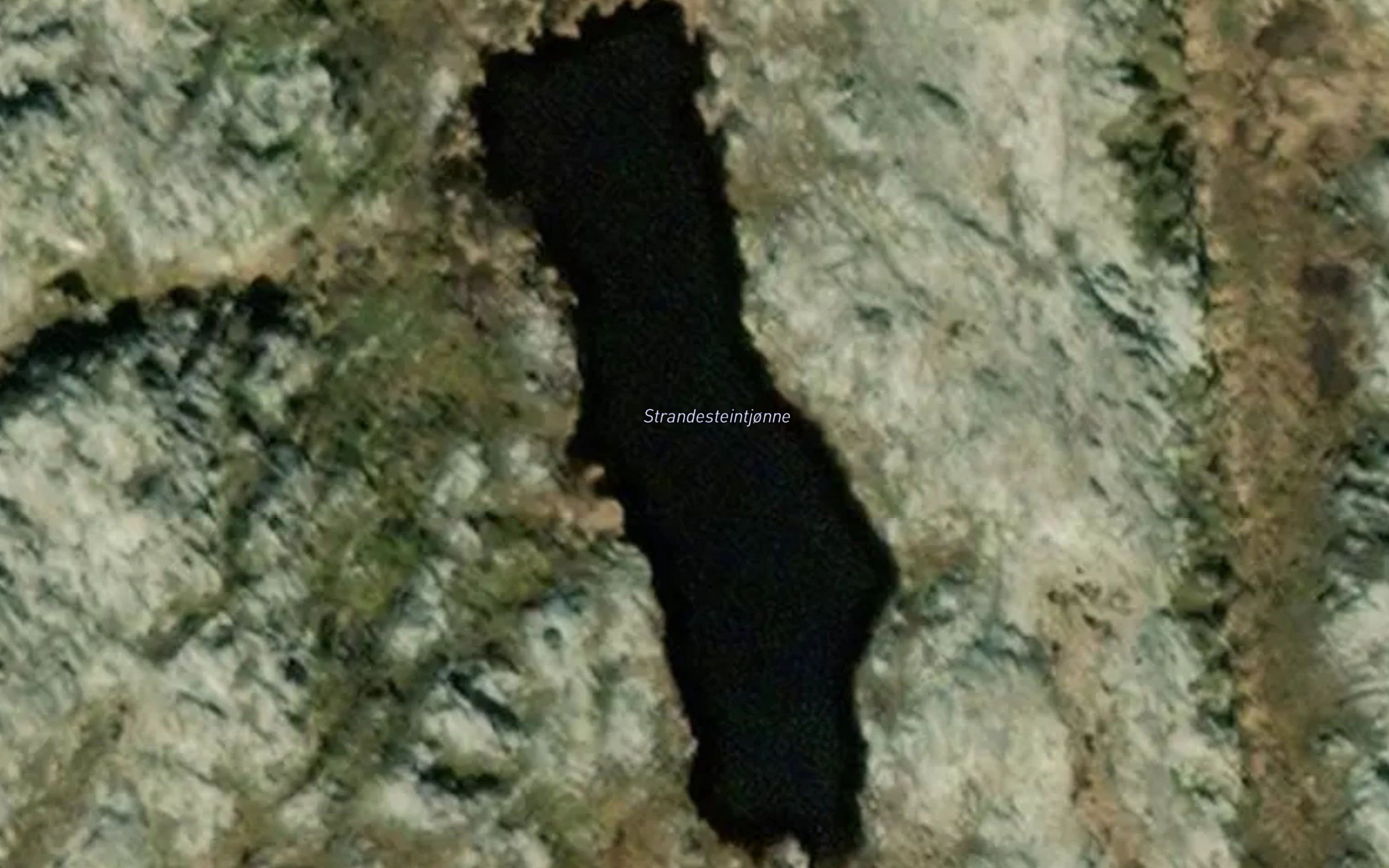 Strandesteintjoni