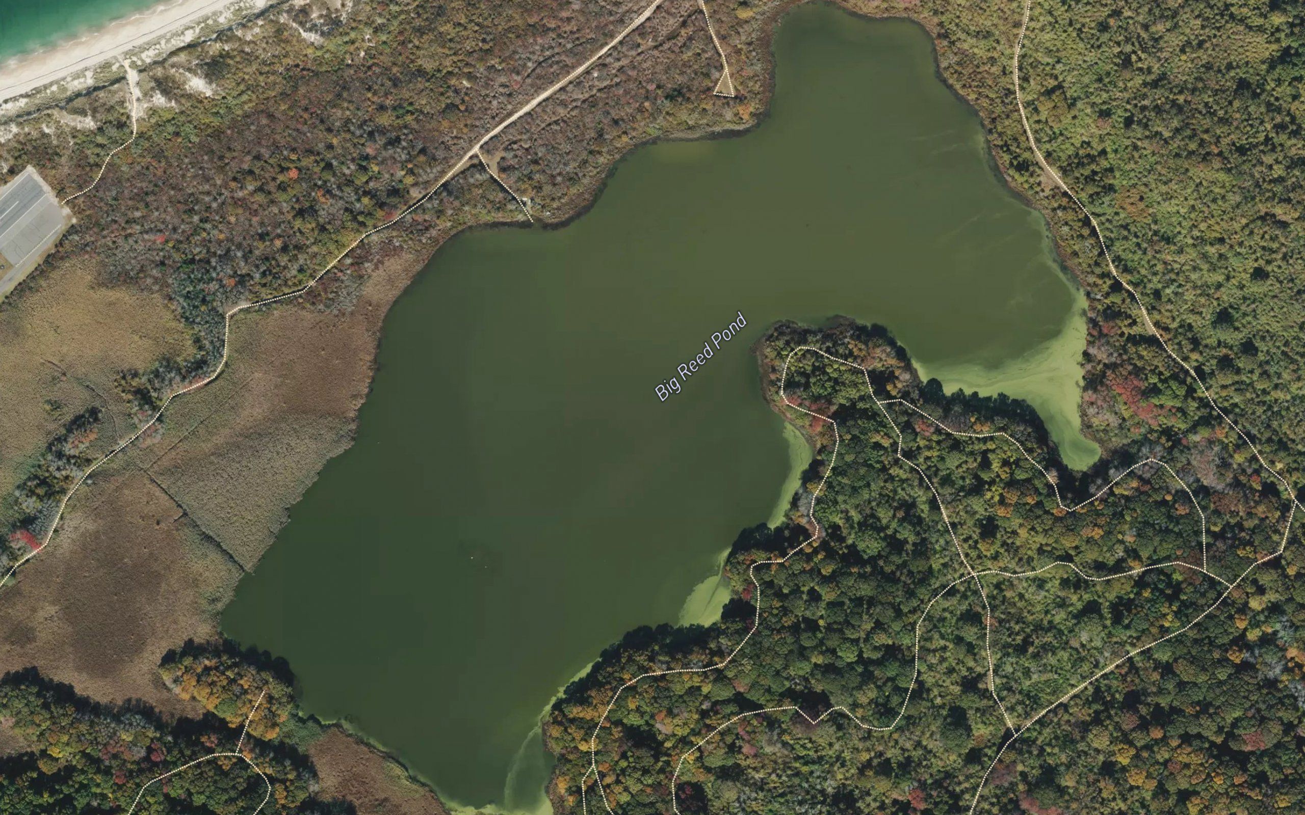 Big Reed Pond