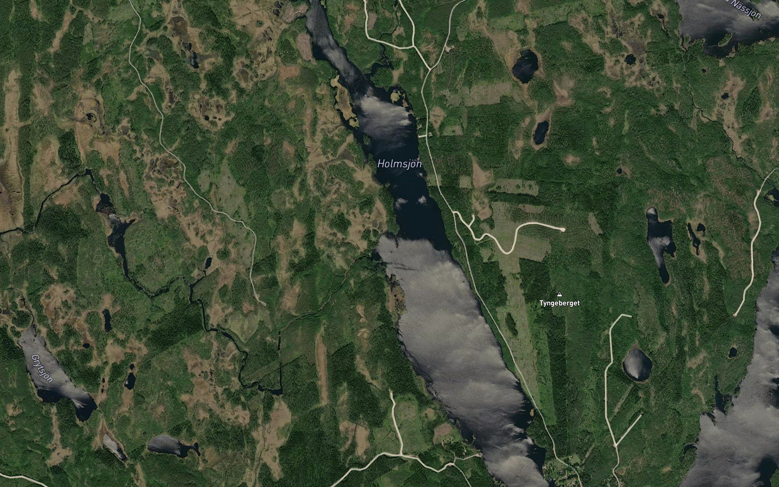 Tyngen