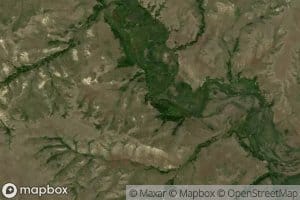 20N55E25CAAA01 Spring