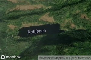Koltjonna