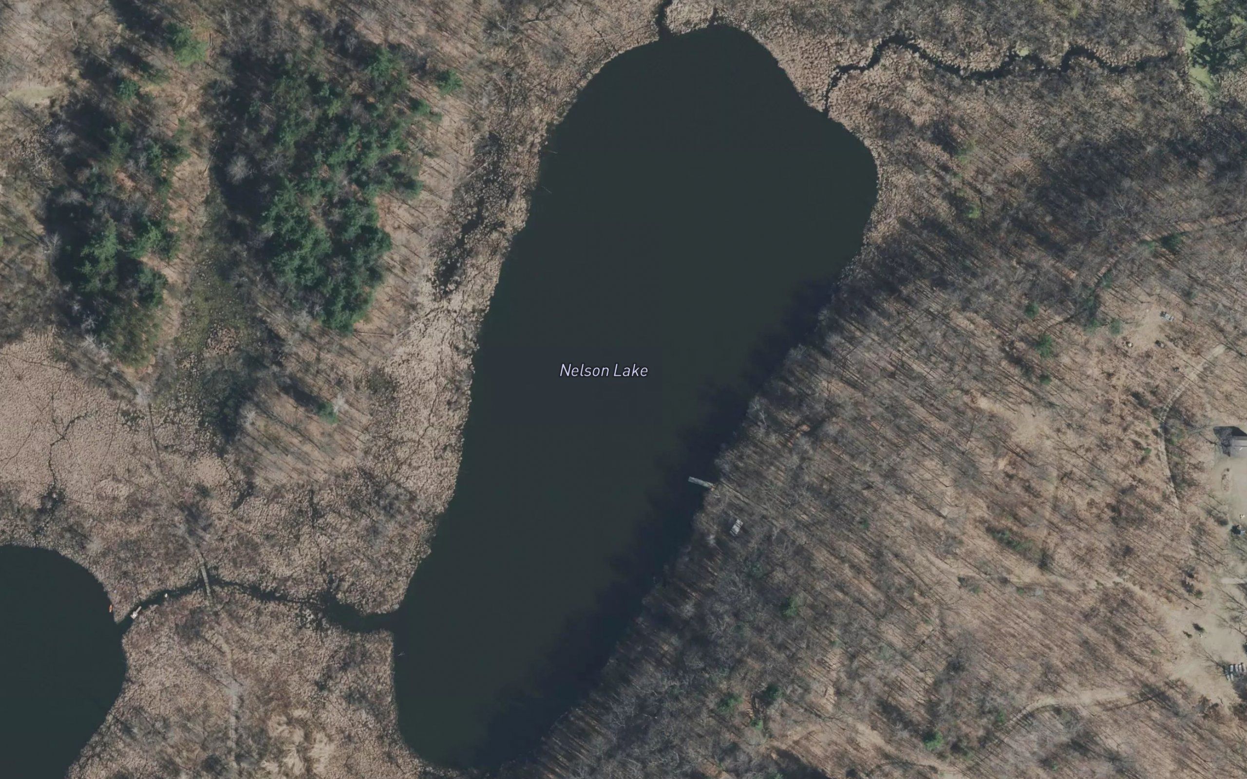 Nelson Lake