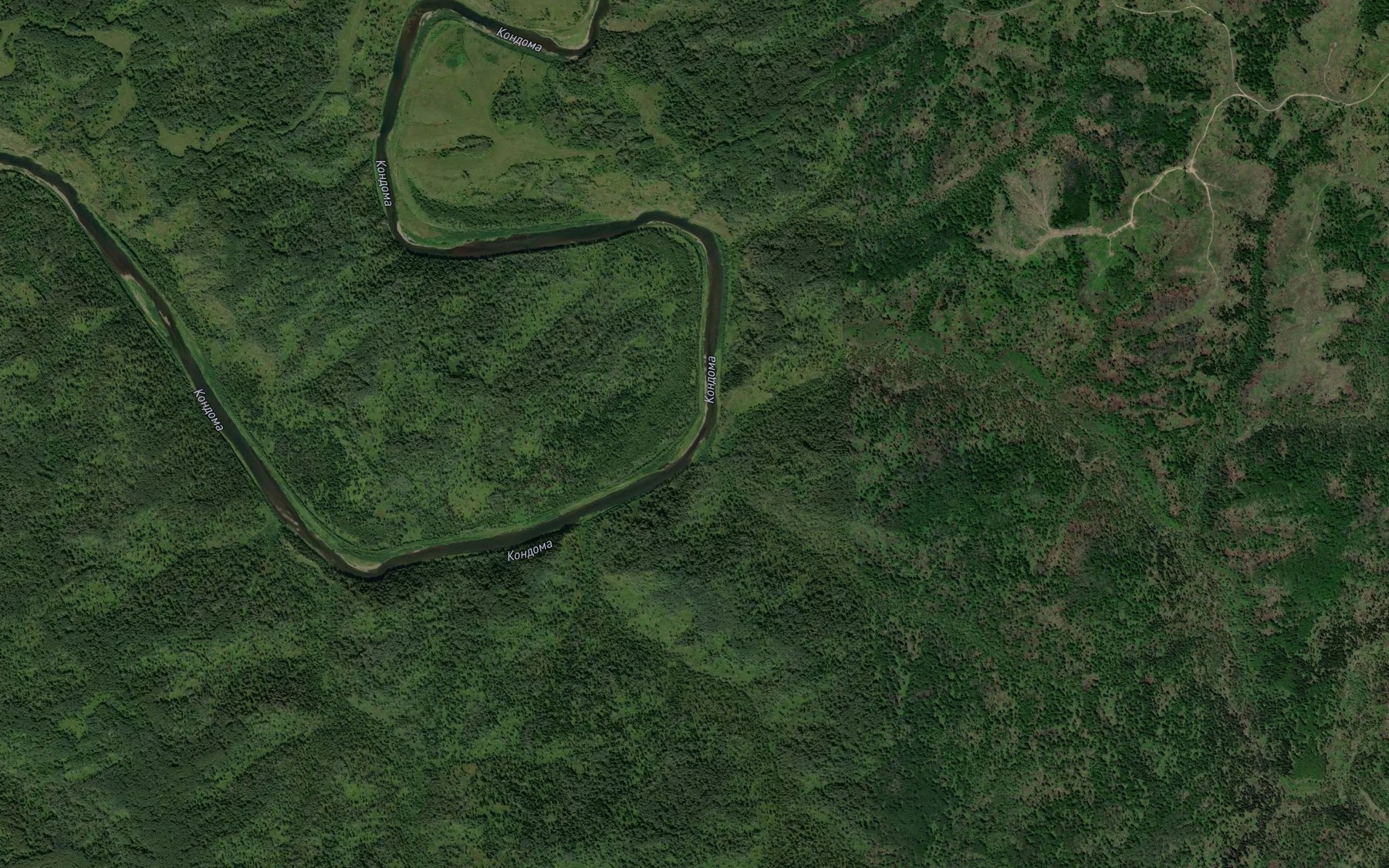 Satellite map of the Paznas