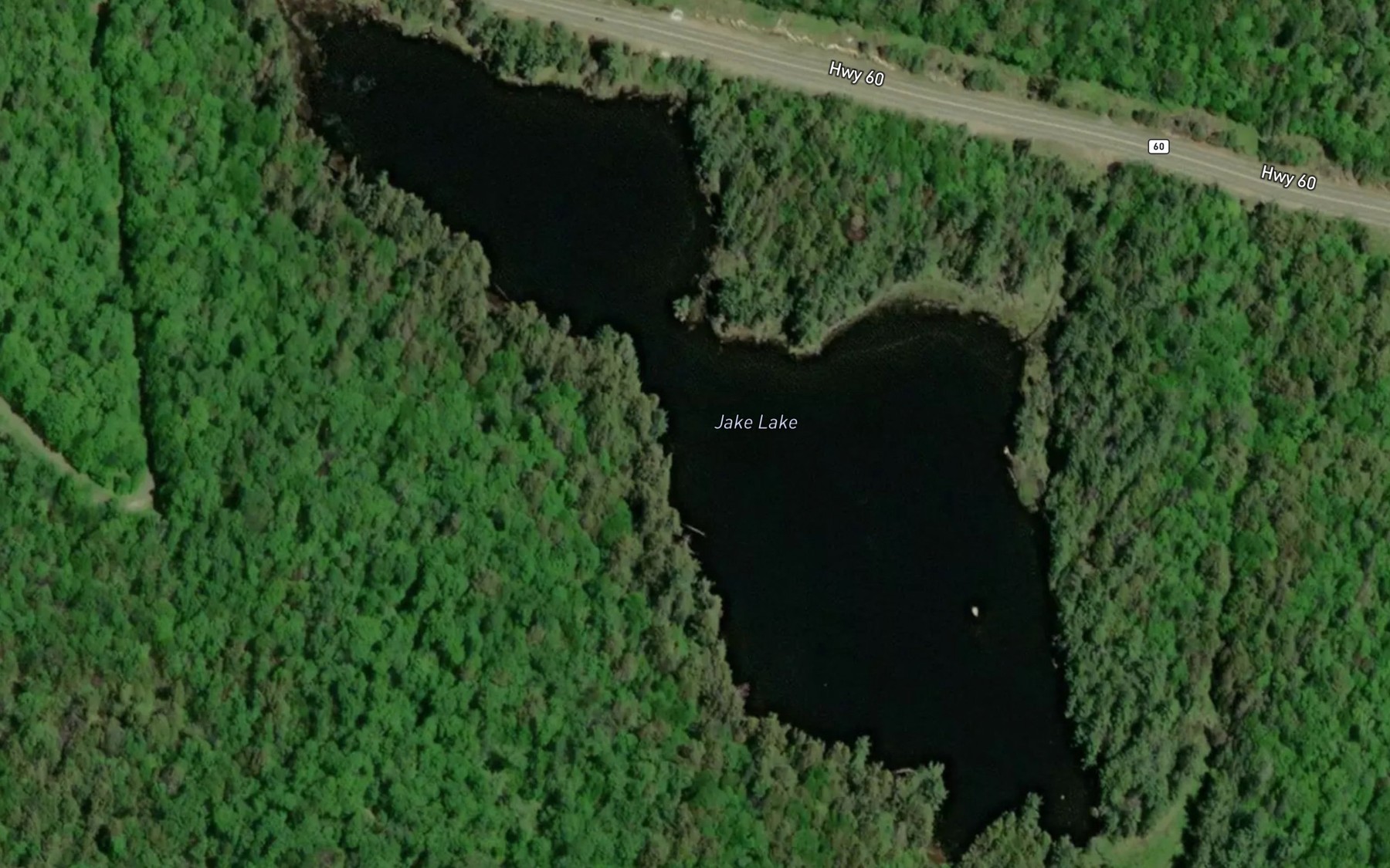 Satellite map of the Jake Lake