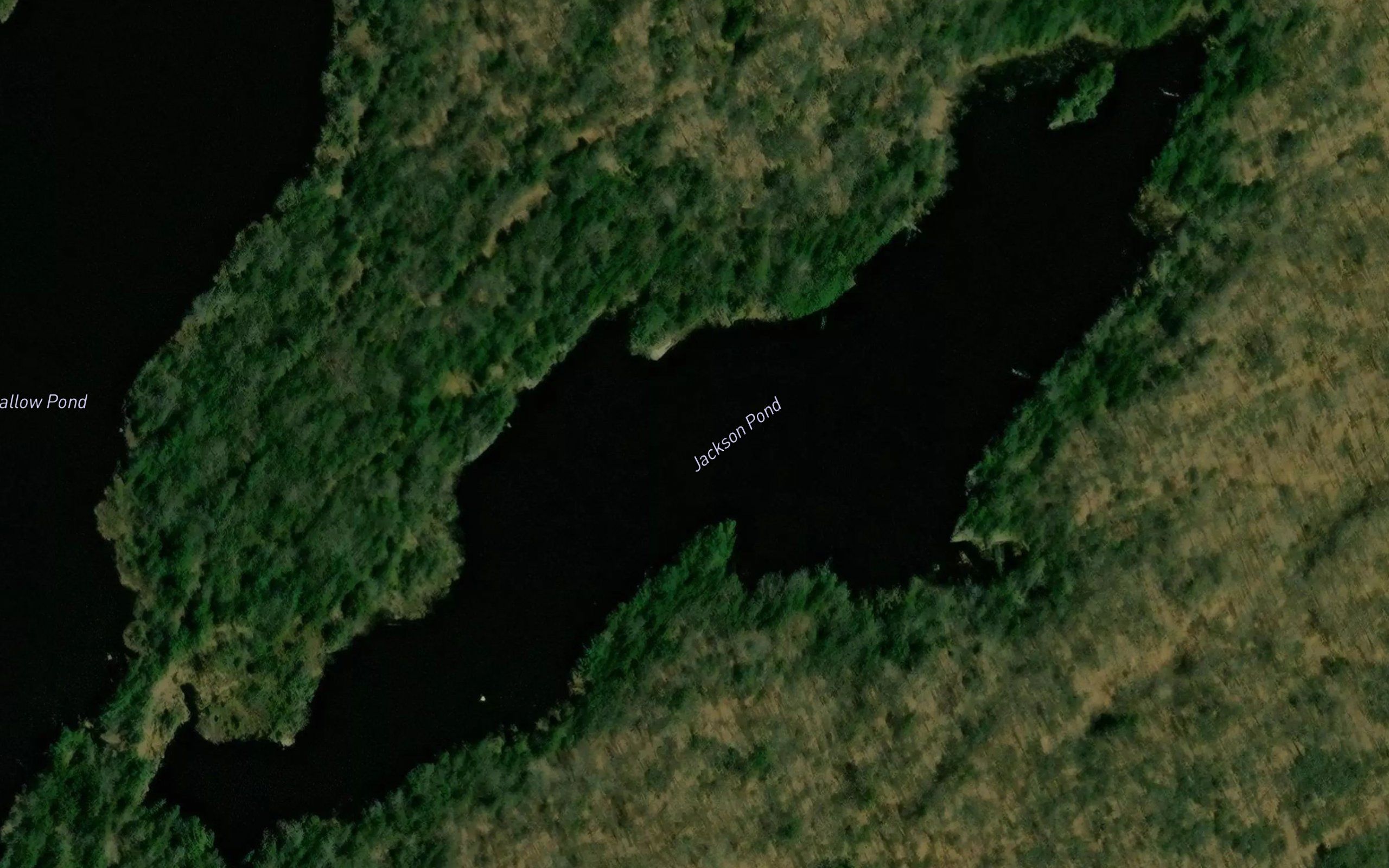 Jackson Pond