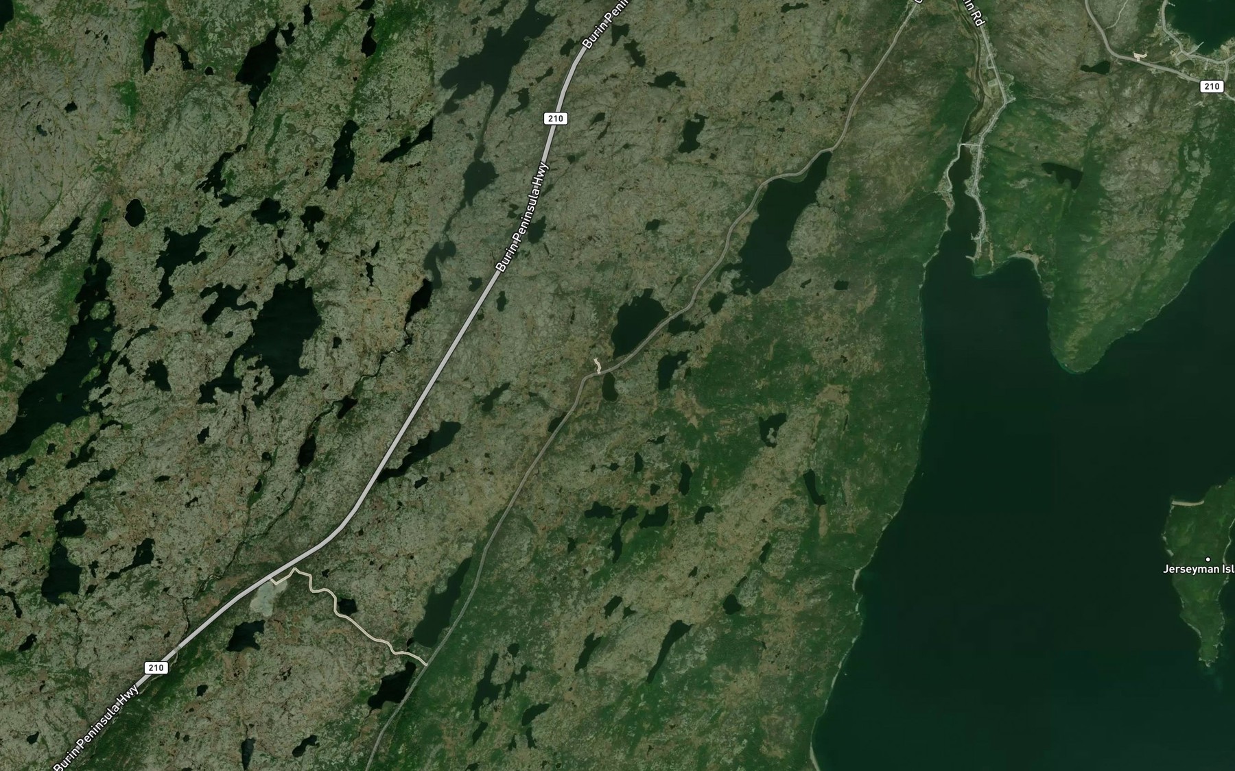 Satellite map of the Reids Pond