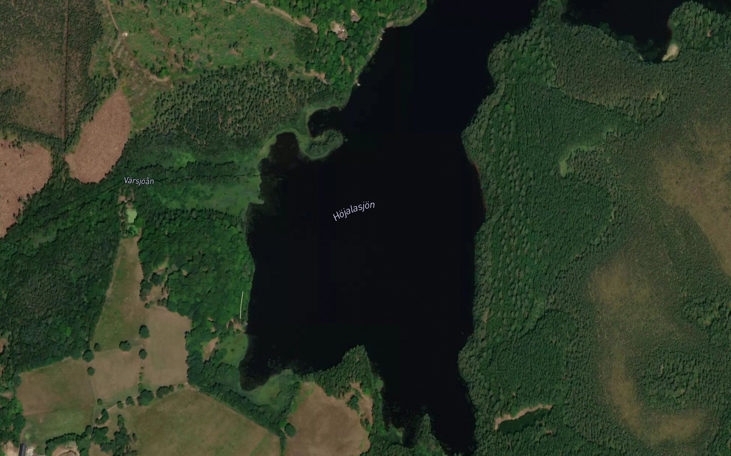 Hogholmasjon