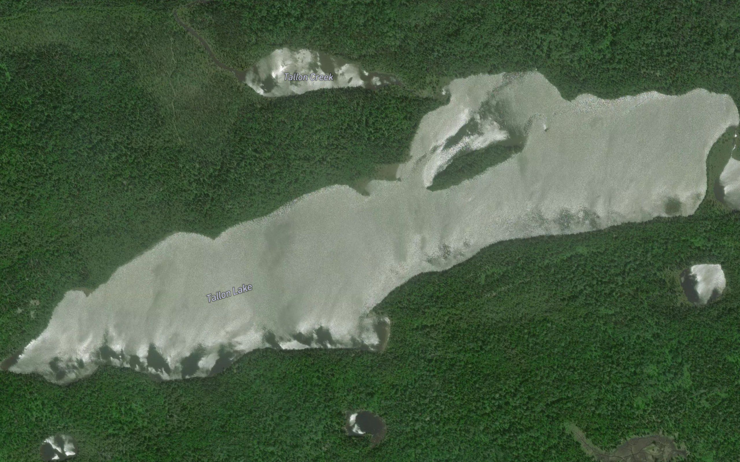 Tallon Lake