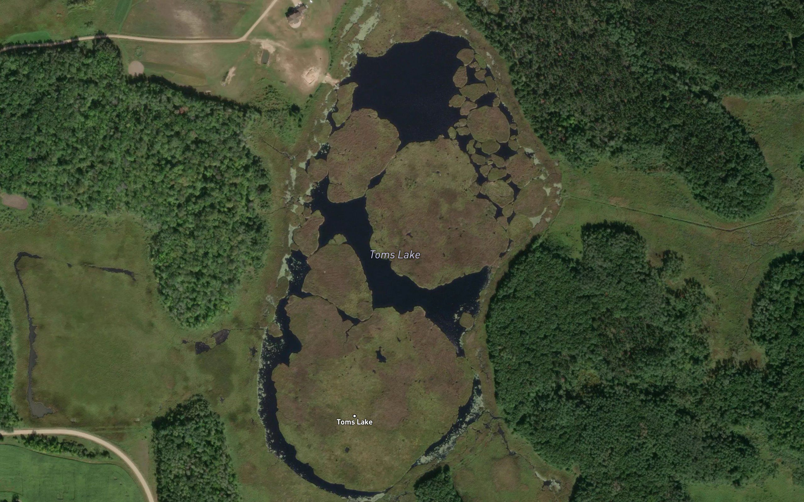 Toms Lake