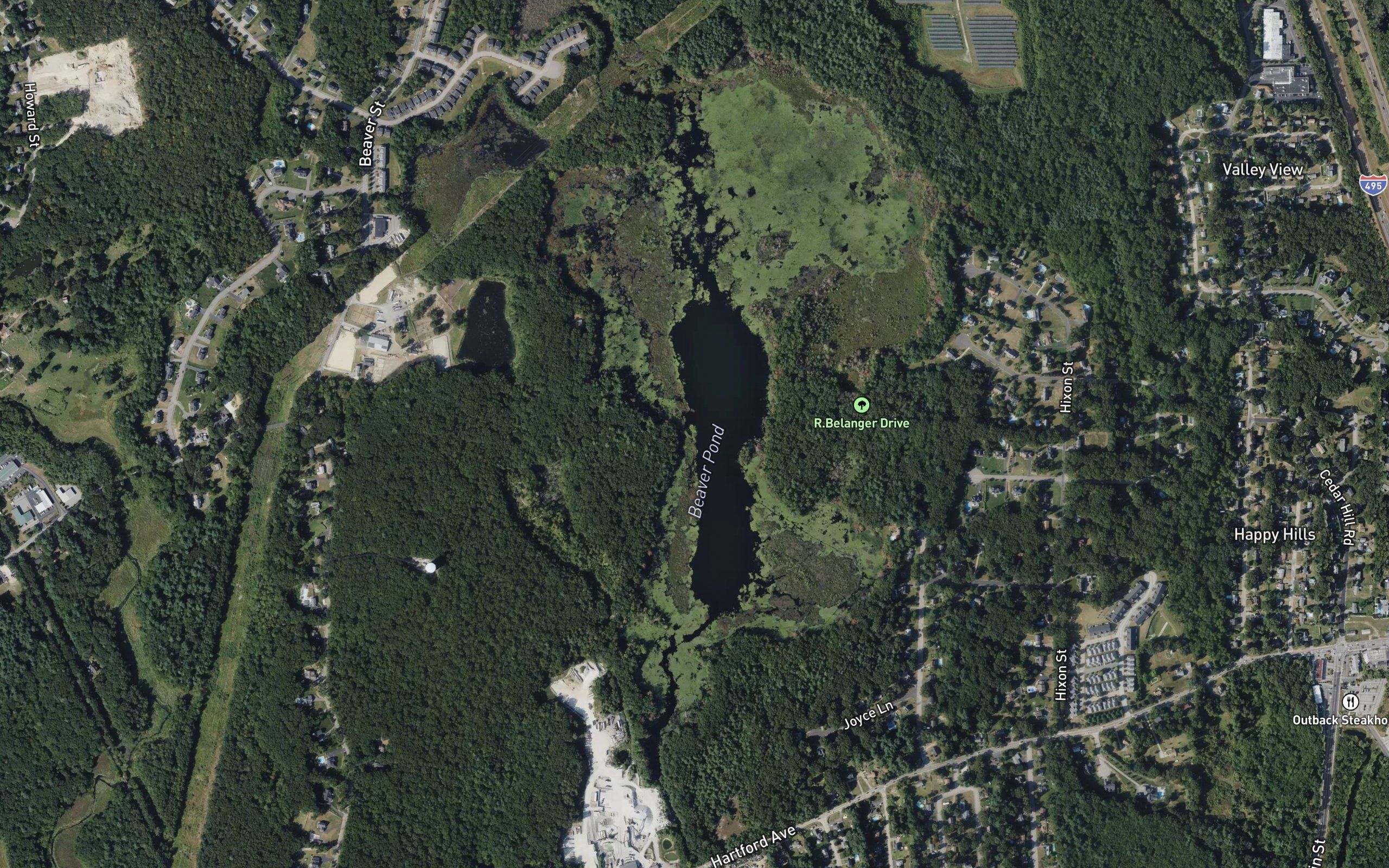 Beaver Pond