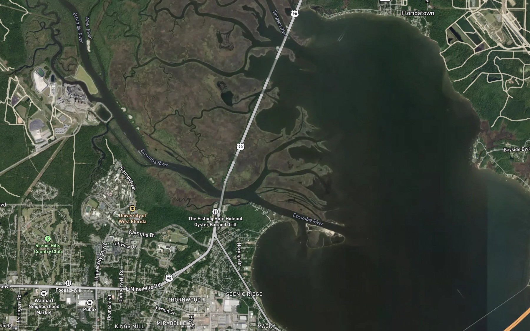 Satellite map of the East River