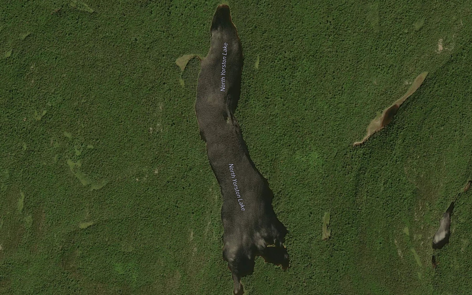 Satellite map of the North Yorston Lake
