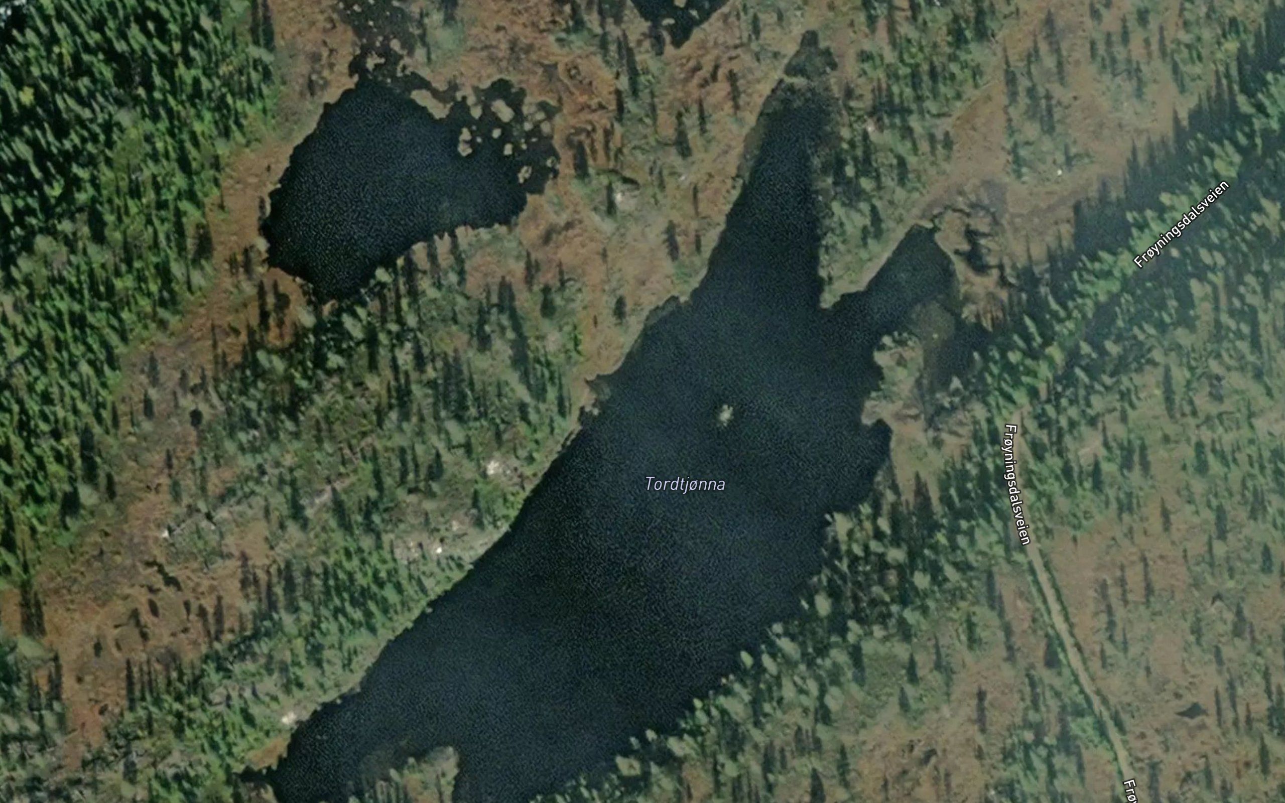 Tordtjorna