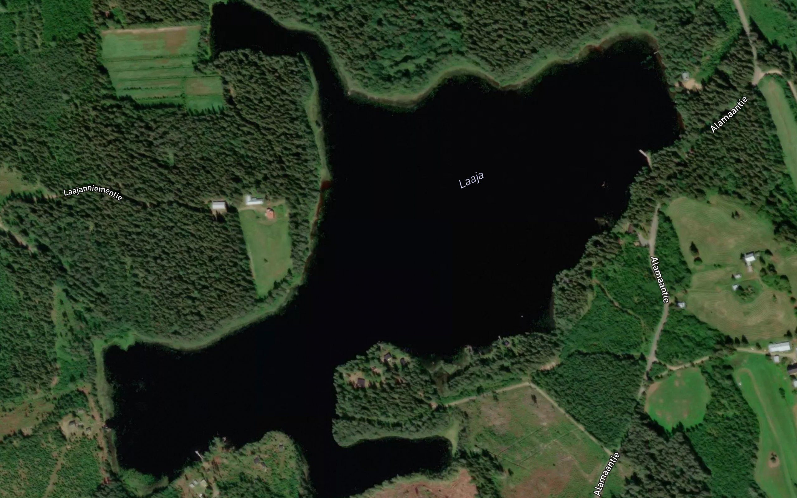Laaja