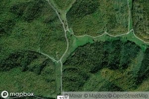 Salt Gum Creek