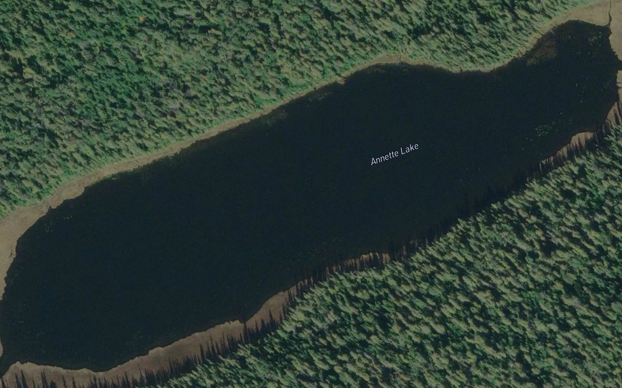 Annette Lake