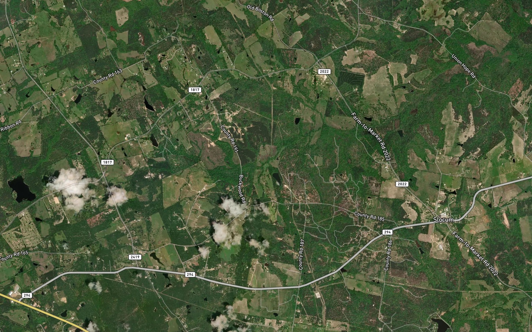 Satellite map of the Yellow Branch