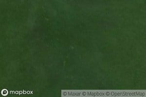 Srednyaya Lesovoznaya