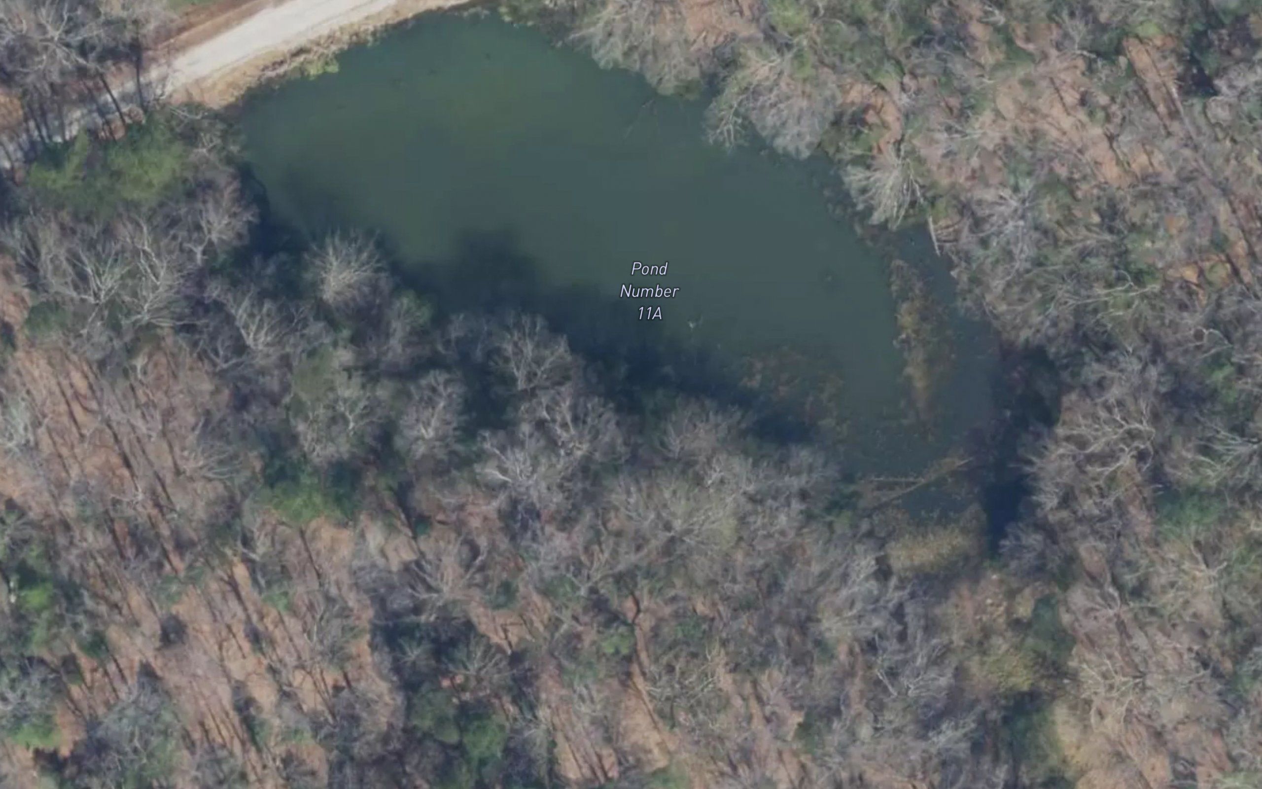 Pond Number 11A