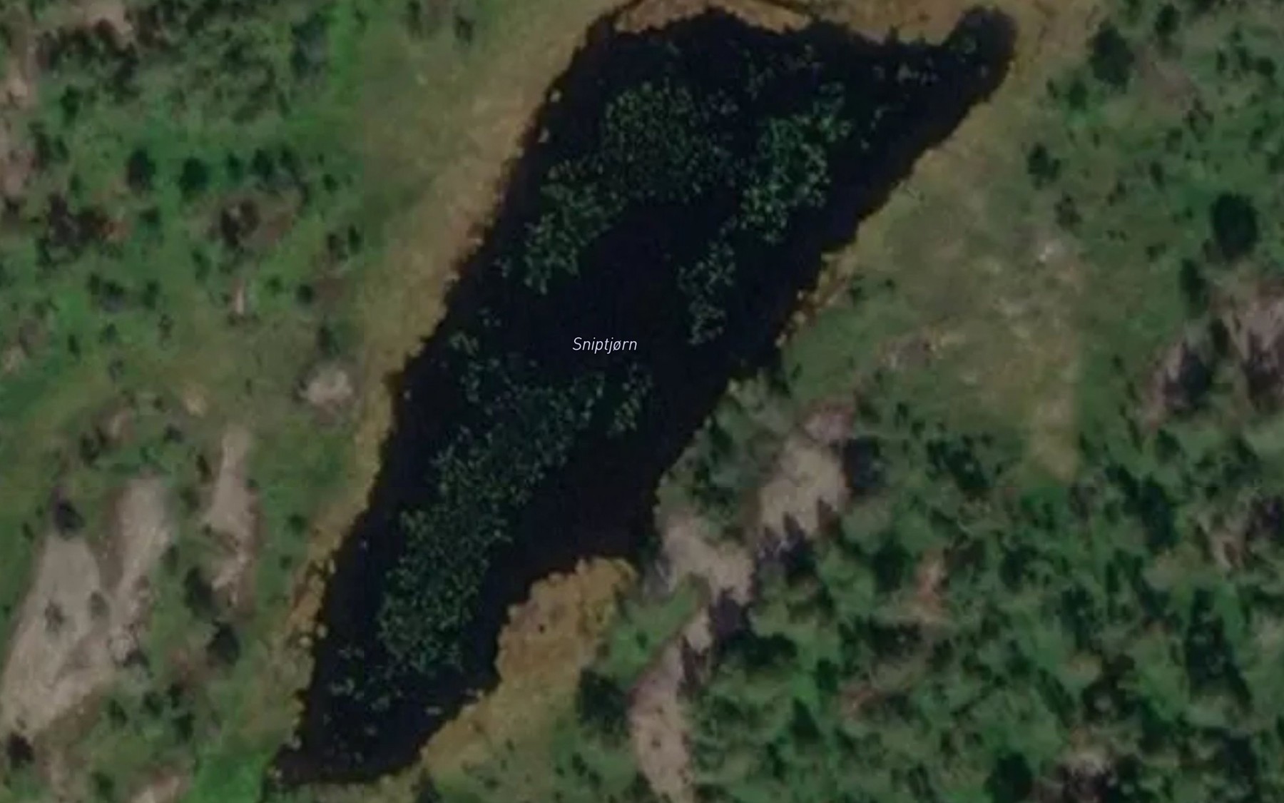 Satellite map of the Sniptjonn