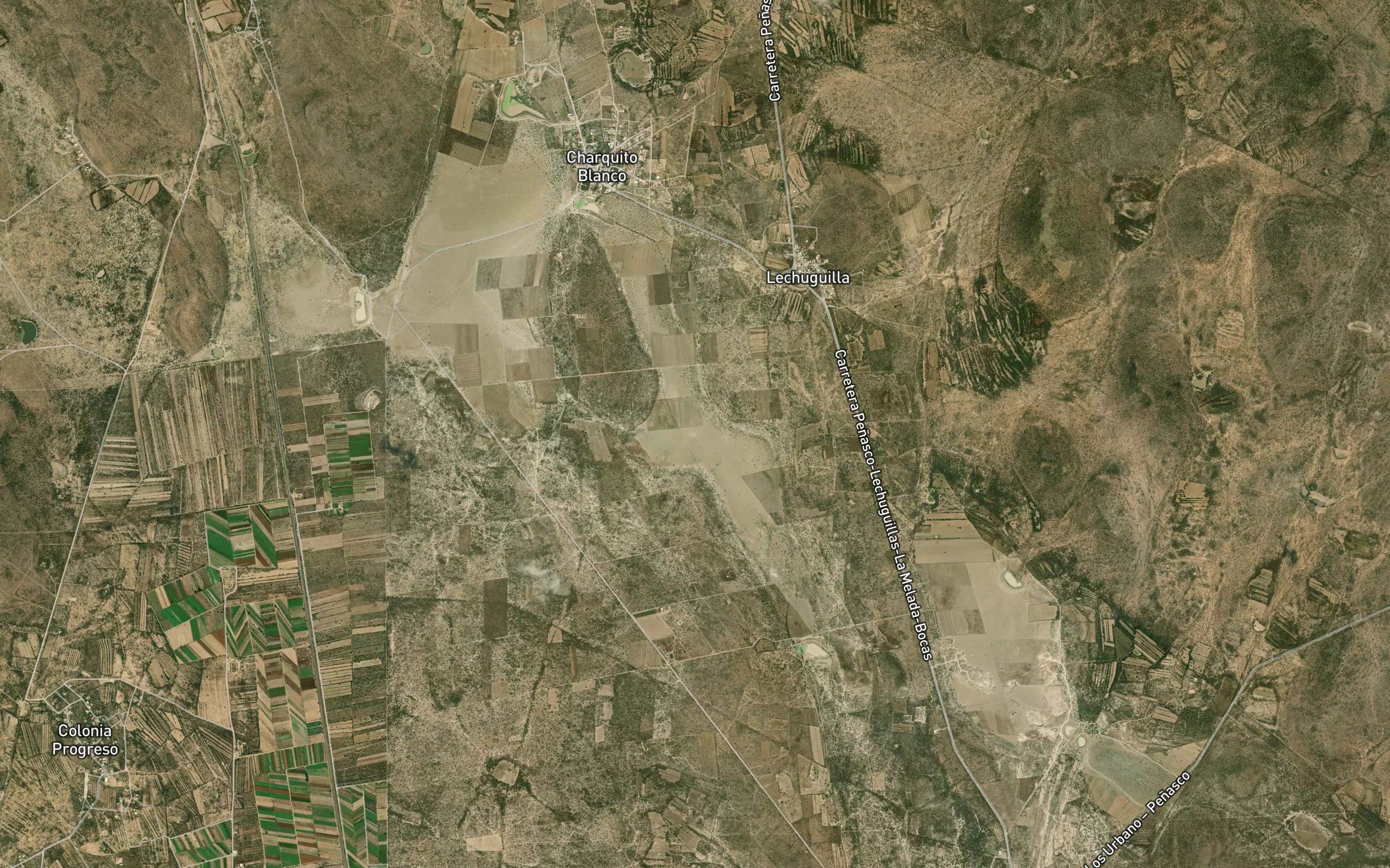 Laguna El Palmarito