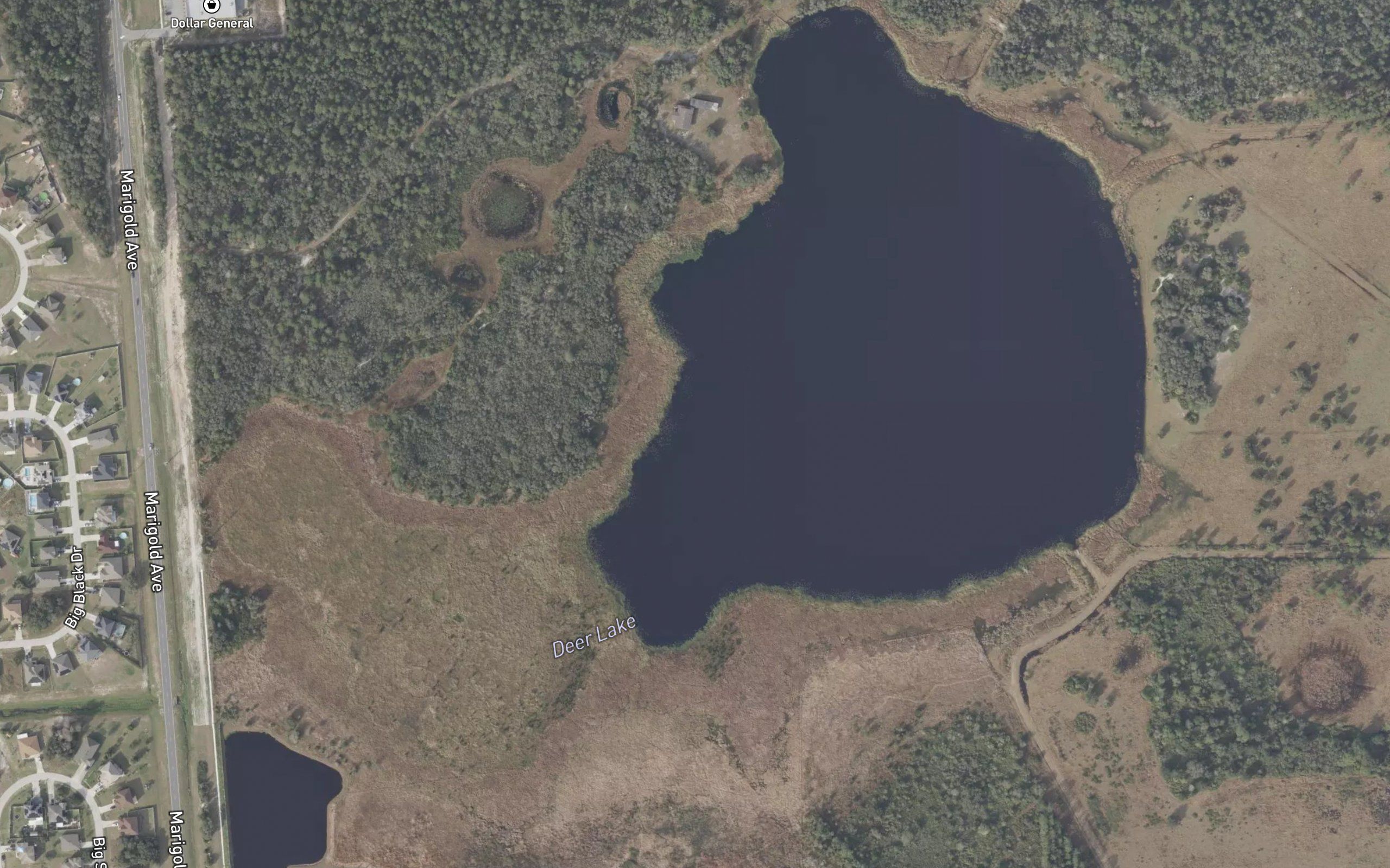 Deer Lake