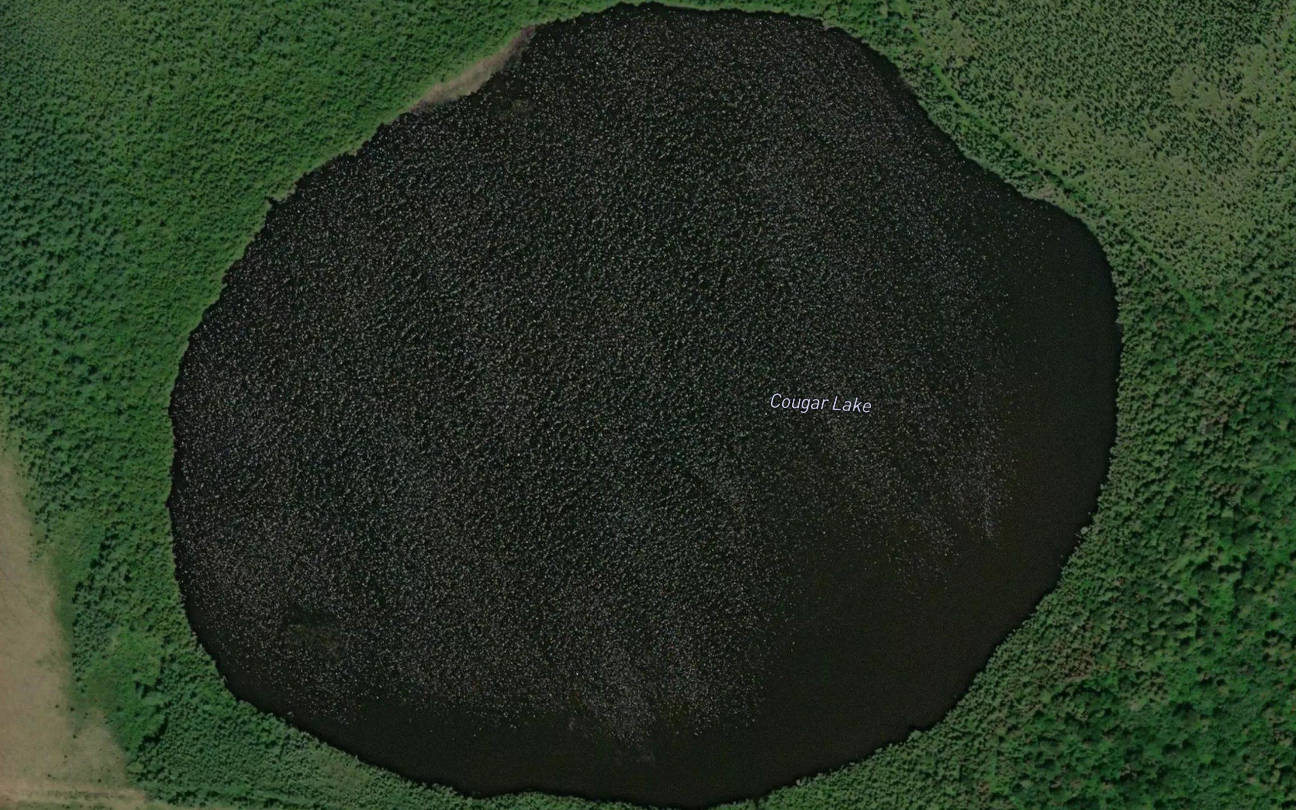 Cougar Lake