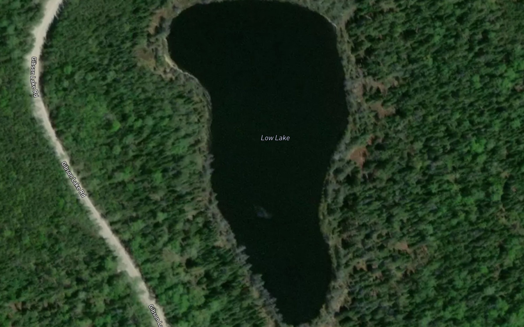 Satellite map of the Low Lake