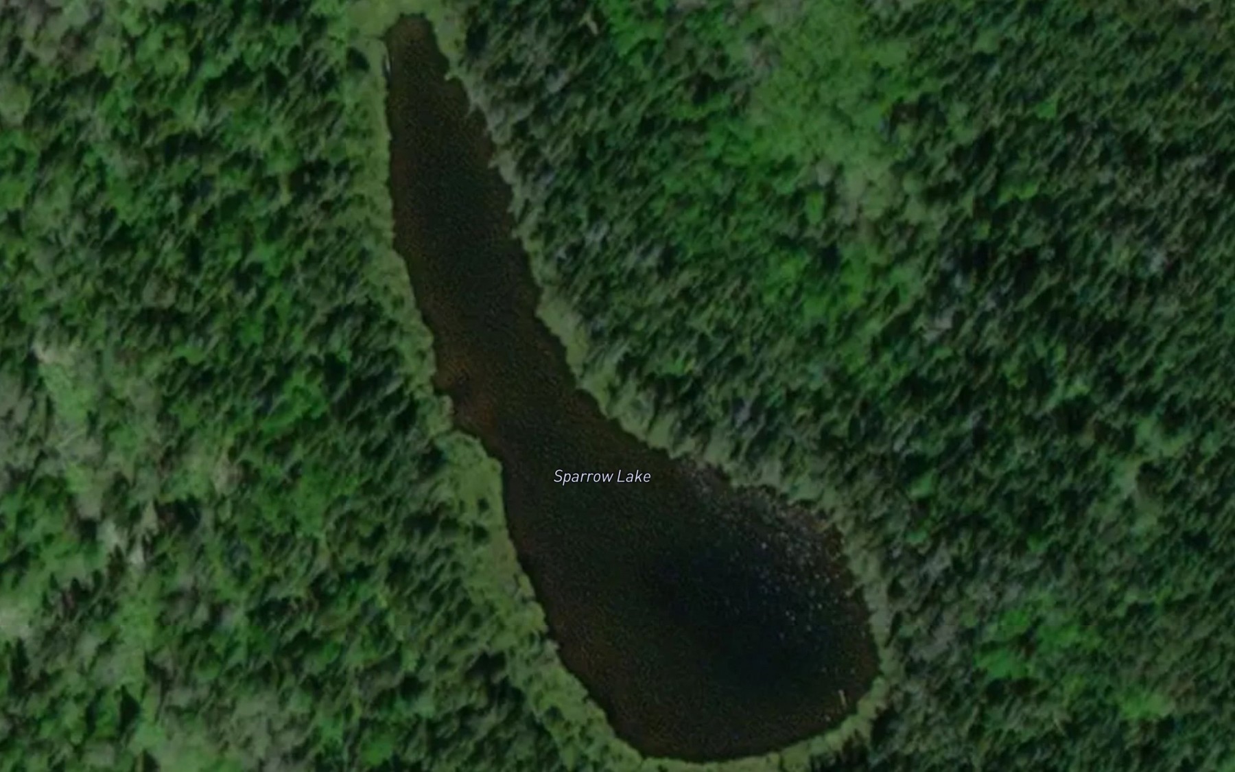 Satellite map of the Sparrow Lake