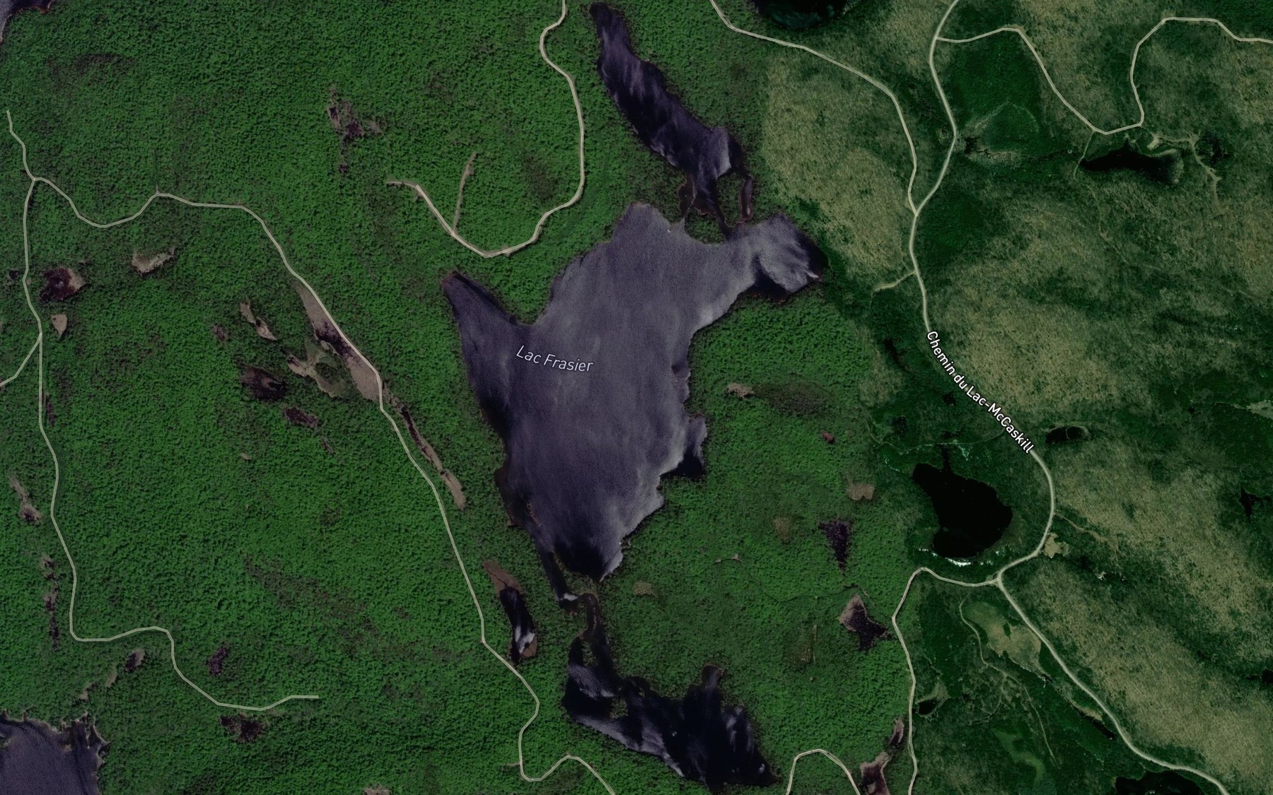 Satellite map of the Lac Frasier